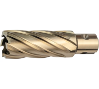 Фреза кольц. Lenz 30*55мм Арт. LZHM-030