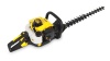 Бензоножницы Champion HT625R 750Вт 60см Арт. HT625R