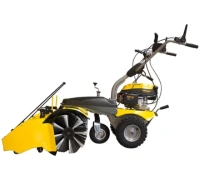 Машина подметально-уборочная CHAMPION GS50100 3.6кВт 5.0л/с 173*100см Арт. GS50100