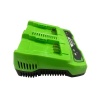Зарядное устройство GREENWORKS G24C4 24В 2A для 2-х аккумуляторов Арт. 2931907