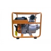 Мотопомпа VILLARTEC GP 100