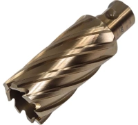 Фреза кольц. Lenz 30*55мм Арт. LZHM-030