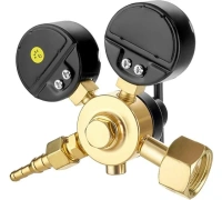 Редуктор углекислотный УР-6-6М Сварог (ArR-137A) Арт. 94480