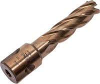 Фреза кольц. Lenz 14*55мм хвостовик 19мм Арт. LZHM-014