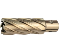 Фреза кольц. Lenz 30*55мм Арт. LZHM-030