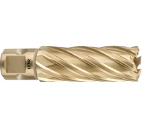 Фреза кольц. Lenz 22*55мм Арт. LZHM-022