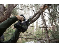 Пила акк. GREENWORKS GD40TCS 40V 10" 1/4" 1.3мм 58зв. без акк. и З/У Арт. 2003807