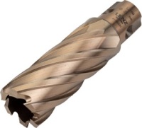 Фреза кольц. Lenz 24*55мм Арт. LZHM-024