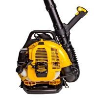 Воздуходув бенз ранц CHAMPION GBR333 0,9кВт 800м3/ч Арт. GBR333