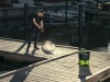 Мойка аккумуляторная GREENWORKS GDC40 40V 300л/час 70 бар, без акб и ЗУ Арт. 5104507