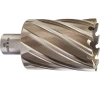 Фреза кольцевая HSS MILWAUKEE D45х50мм (Weldon)