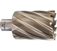 Фреза кольцевая HSS MILWAUKEE D45х50мм (Weldon)