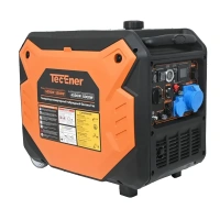 Генератор инверторный TecEner TE6500EGis 5/5.5кВт 220В эл. старт (Газ/Бензин) Арт. 1112081
