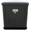 Генератор газовый EVOline GNG 9350 E
