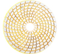 Круг шлифовальный АГШК (черепашка) Trio-Diamond 100мм 200 (мокрая шлифовка) Арт. 340200